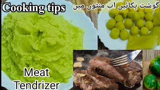 Raw Papaya past  Natural Meat Tenderizer گوشت کو گلانے والا پیسٹ Resturant secret Kacha papita [upl. by Marva]