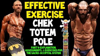 How to ASSESS SacroOccipital System amp Perform PELVIC TILT Exercises  Paul CHEK Totem Pole Part 9 [upl. by Symer]