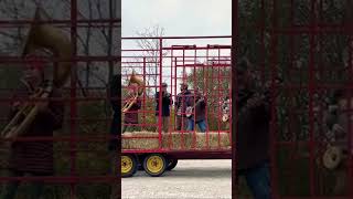 Junco Partner trumpet solo on a hay trailer [upl. by Innad]