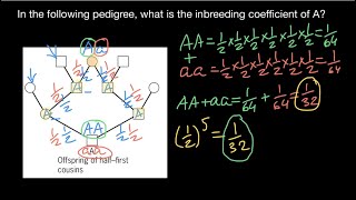 How to calculate the Coefficient of Inbreeding  1 [upl. by Nosylla]