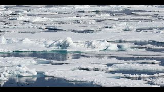 8 Sea ice [upl. by Milford]