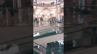 D B Mall Bhopal [upl. by Yseulte]