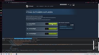 Steam Guthaben mit Paysafecard Restbetrag aufladen GERMAN [upl. by Rubma]