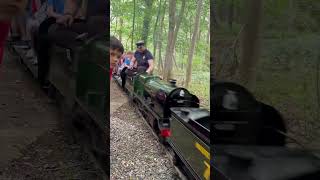 Roland George  Sir sacramore passing carriages at Ingfield manor light railway 8624 [upl. by Rosmunda109]