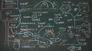 Revisão para UNIOESTE 2016  Biologia [upl. by End]