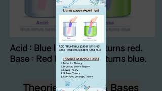 litmuspaper litmus experiment theories acid base beautyofchemistry youtubeshorts ytshorts [upl. by Jenei]