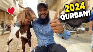 Alhumdulillah 2024 Qurbani 🐐 Eid ul adha 2024 Fahad Bhai Official [upl. by Maria324]