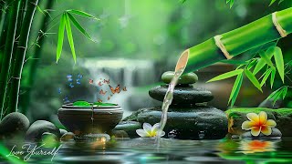 Relaxing Zen Music 247  Bamboo Relaxing Music Meditation Music Peaceful Music Nature Sounds [upl. by Corley]