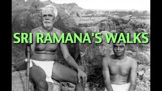 Talks on Sri Ramana Maharshi Narrated by David Godman  Sri Ramanas Walks [upl. by Nnylaehs]