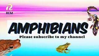 Amphibians Song  REMOFFICIAL777 nursery rhymes and kids Songs [upl. by Melly771]