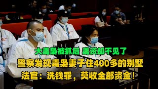 【一口气看完】大毒枭被抓后，毒资却不见了，警察发现毒枭妻子住400多的别墅，还有200多万存款！法官：洗钱罪，莫收全部资金！真实事件 真实案件 案件解析 案件 [upl. by Hildebrandt770]