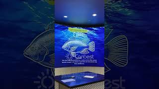 CanbestCustomizable LED screen ledfactory ledscreensupplier leddisplayscreen leddisplay [upl. by Edwina]