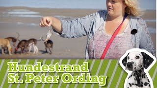 Urlaub mit dem Hund Reisetipp HundeStrand in St Peter Ording Nordsee [upl. by Cordova]