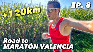 Mitad de EL PLAN y PICO DE VOLUMEN  Entrenamientos Road to Maratón Valencia EPISODIO 8 [upl. by Eirrot]