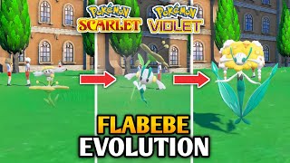 How To Evolve Flabebe Into Floette And Florges In Pokemon Scarlet And Violet  Paldea Pokedex [upl. by Aikat]