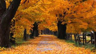 Antonio Vivaldi  Autumn [upl. by Noni]