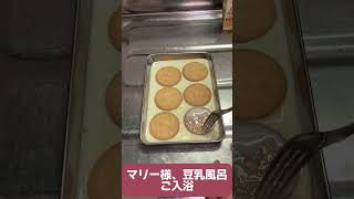 徹子さんケーキでクリスマスカップケーキ デコレーションケーキ クリスマスケーキ 簡単 [upl. by Jaban]