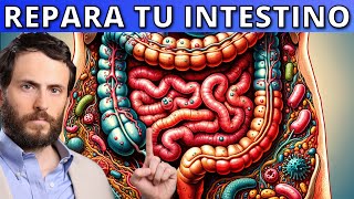 Todo lo que necesitas para reparar tus INTESTINOS con Escuela de Salud Integrativa [upl. by Acim121]