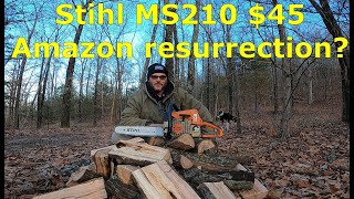 Stihl MS210 carb replacement fixing it cheap chainsaw resurrection [upl. by Swaine69]