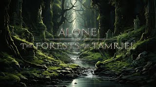 Jeremy Soule Skyrim — “Alone in The Forests of Tamriel” 3 Hr mix [upl. by Nolyarb]