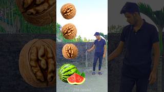 Rounding walnut to Grapes lichi Mango amp Watermelon  Fruits names magic video [upl. by Athalia]