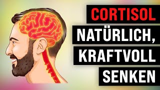 8 kraftvolle Wege um CORTISOL natürlich zu senken [upl. by Readus940]