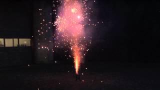 Sacramento Bee Firework Review  Phantom Alpha Wolf [upl. by Hindorff]