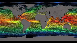 Global Sea Surface Currents and Temperature 1080p [upl. by Ettigdirb]