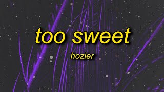 Hozier  Too Sweet Lyrics  id rather take my whiskey neat [upl. by Stevena]