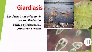 what is giardiasiswhat is cause mode of transmission symptoms and prevention of Giardiasis [upl. by Driscoll]