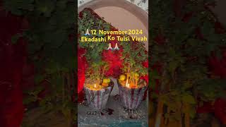 Tulsi Ekadashi Tulsi trending wireless sort video🌺🌺🌺🌺 [upl. by Watson]