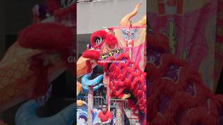 Toronto Lion Dance Performance on High Poles 高桩舞狮 shorts [upl. by Ynnad]