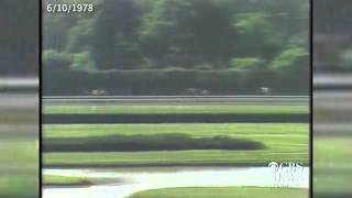 Watch Affirmed completes the Triple Crown in 1978 [upl. by Rickard]