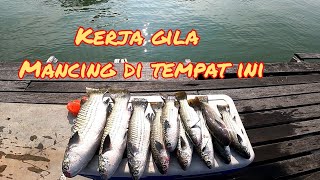 MANCING DIRAKIT TAPI BUKAN RAKITRAKIT YOYO SUNGAI LAYANG [upl. by Anselme]