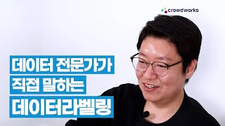 데이터 라벨러 진짜로 전망 좋은 직업일까 [upl. by Eugnimod]