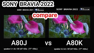 SONY A80K vs A80J compare [upl. by Koblas84]