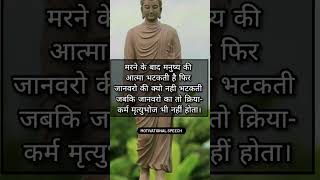 Marne ke baad Goutam Buddha quotes motivation oshospeech quotes buddha shorts [upl. by Risser]