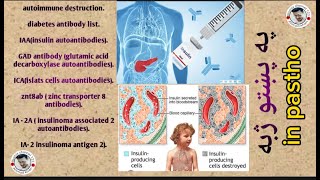 Diabetes antibodyIAA testinsulin antibodiesGAD antibodyICA testZNT8AB IA2A IA2 in pastho [upl. by Loutitia]