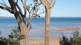 Welcome to our Hervey Bay Queensland Australia 🇦🇺 [upl. by Lambert]