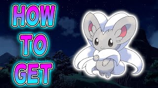 Where To Find Cinccino And Minccino In Pokemon Scarlet amp Violet DLC [upl. by Julia]