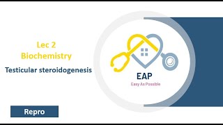 Lec 2  Biochemistry  Testicular steroidogenesis  Repro 42 [upl. by Branch153]