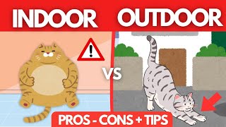 Indoor Cats vs Outdoor Cats Pros Cons and Safety Tips [upl. by Azral]