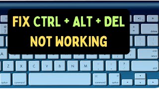 How ti Fix Ctrl  Alt  Delete Not Working in Windows 11 [upl. by Ennaeed851]