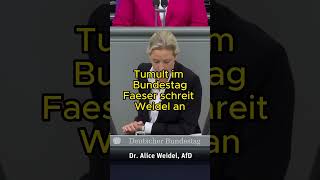 Faeser schreit Weidel im Bundestag an [upl. by Darach]