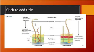 MRCEM FAST FACTS Part A MICROBIOLOGY FRCEM EM MRCEM usmle MRCEMPrimary MBBS usmlestep1 [upl. by Sillyhp348]