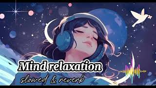 Mind relaxation lofi 😴🌃Night mushup  💔sad Lofi song Hindi🎵  Mind relaxation lofi 😴 [upl. by Buroker63]