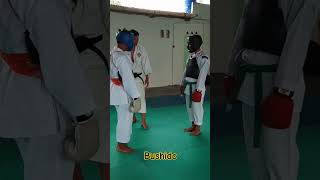 Randori Shorinji Kempo [upl. by Nethsa]