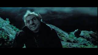 Peter Pettigrew in Harry Potter [upl. by Karl108]