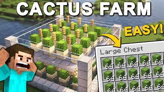 I BUILD A INFINITE CACTUS FARM IN MINECRAFT PE [upl. by Clarissa]