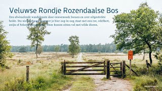 Veluwse Rondje Rozendaalse Bos [upl. by Eiramacissej]